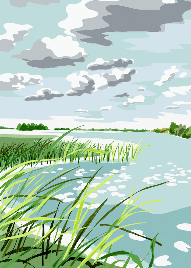 Springtime with water lilies