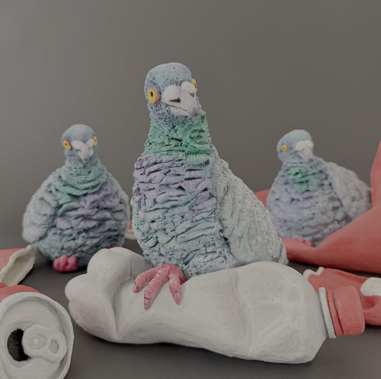 alpha pigeon