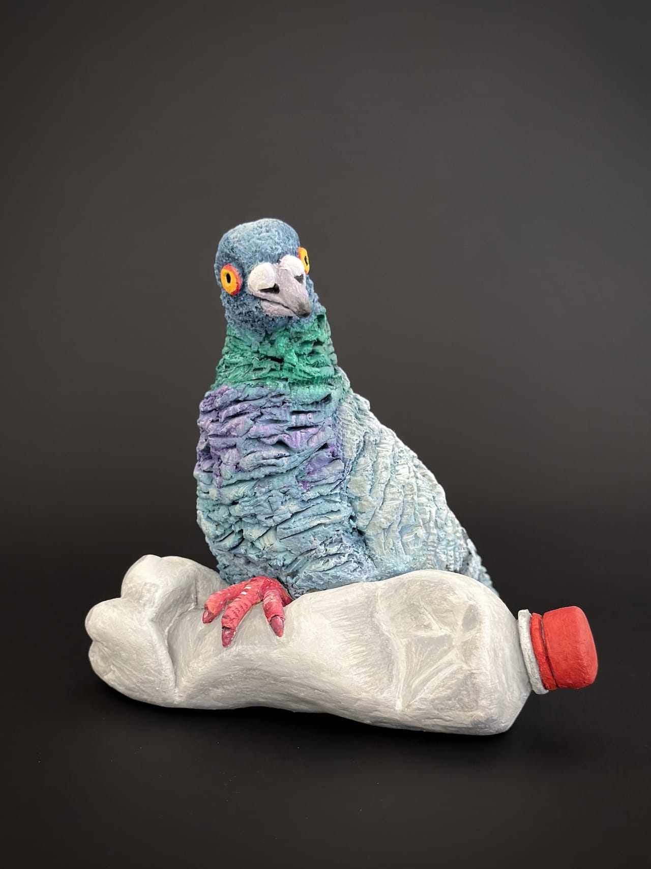 alpha pigeon