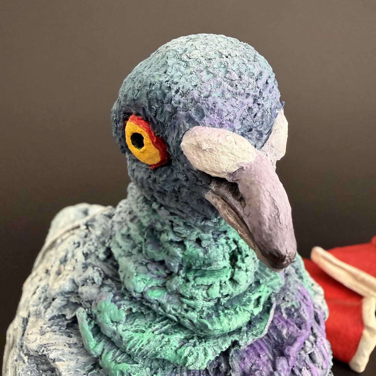 closeup of sigma pigeon